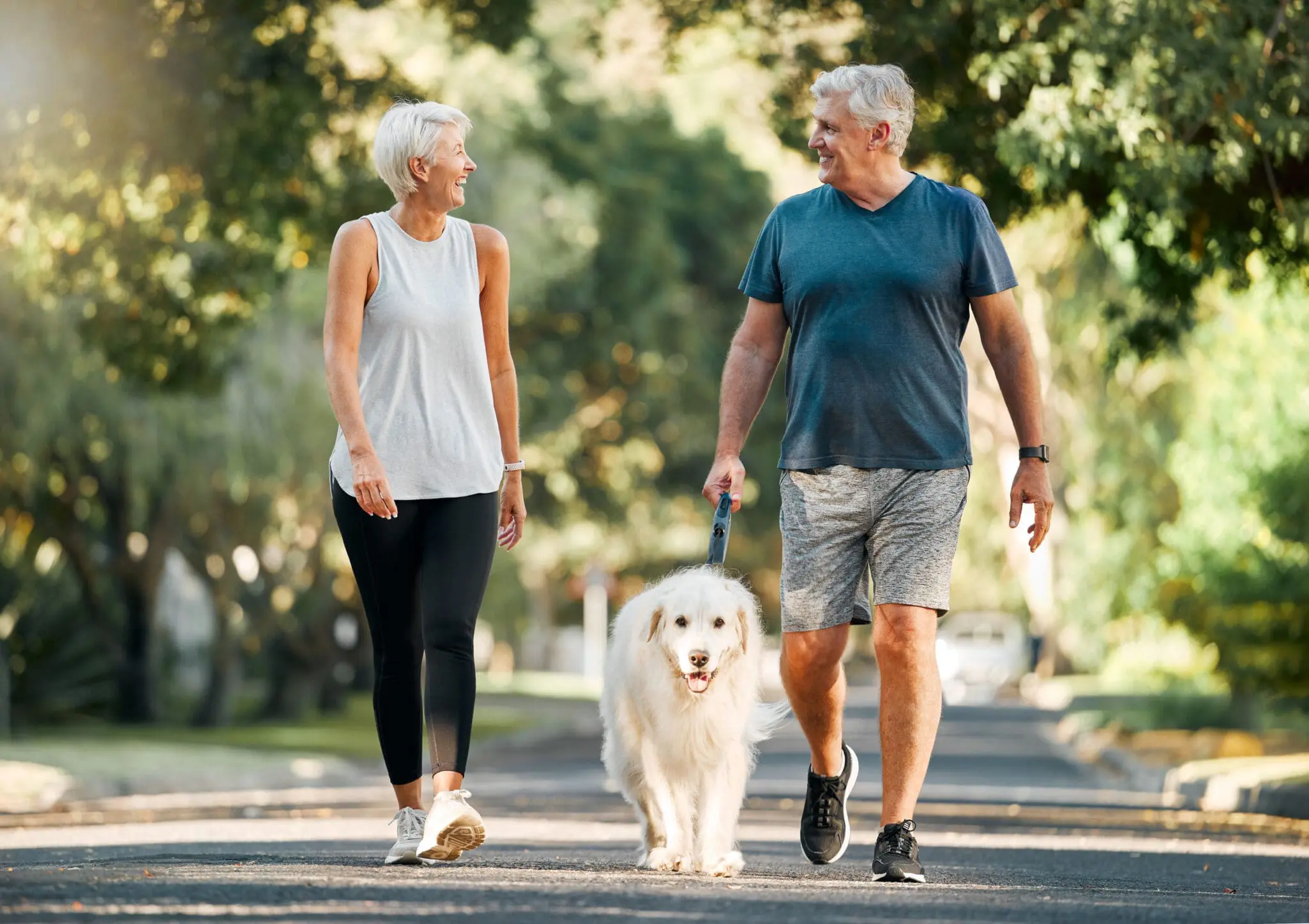 Retirement, fitness and walking with dog and couple in neighborhood park for relax, health and sports workout. Love, wellness and pet with old man and senior woman in outdoor morning walk together Retirement, fitness and walking with dog and couple in neighborhood park for relax, health and sports workout. Love, wellness and pet with old man and senior woman in outdoor morning walk together
