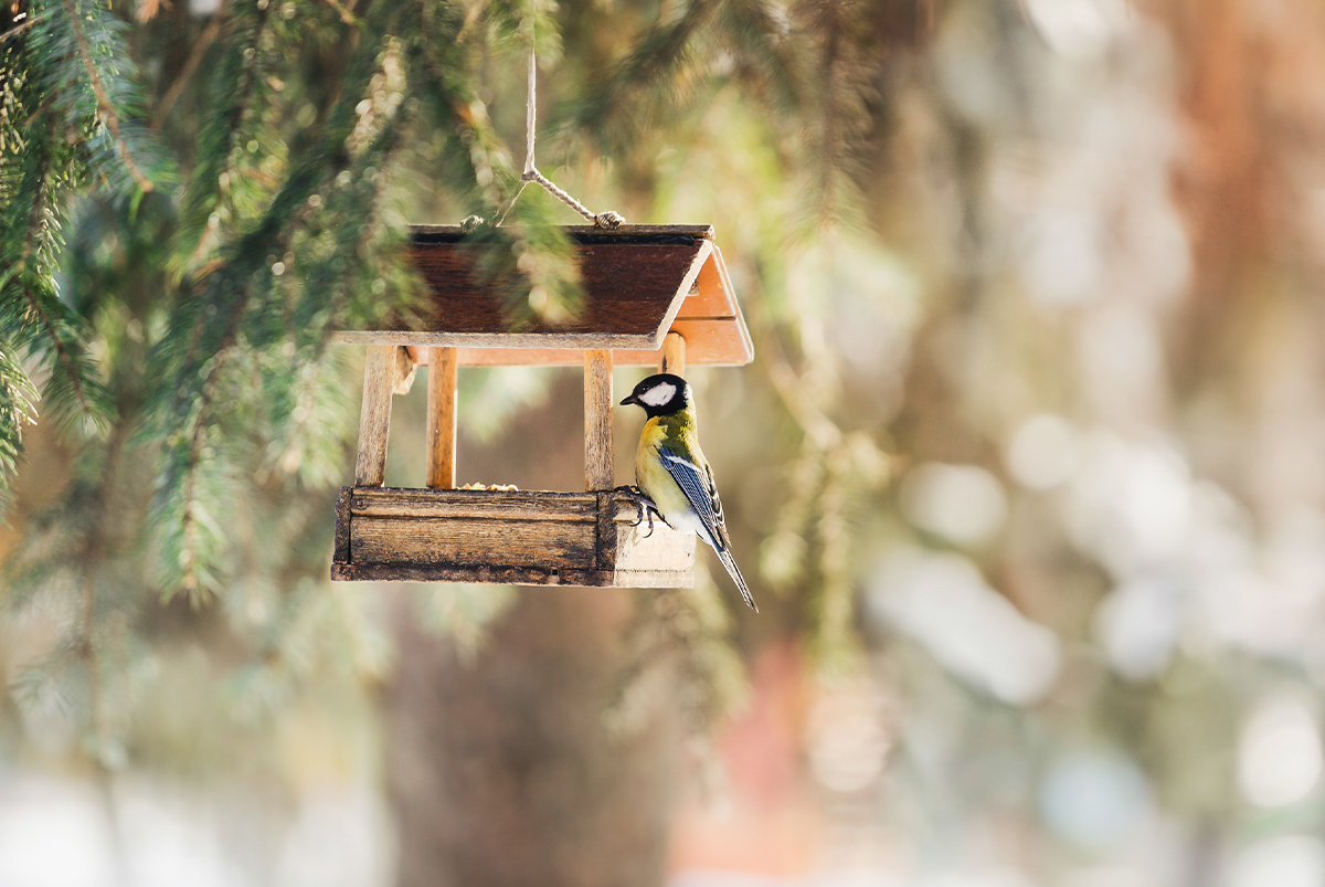 2-Pack Arts and Crafts for Kids, Make Your Own Bird Feeder & Wind